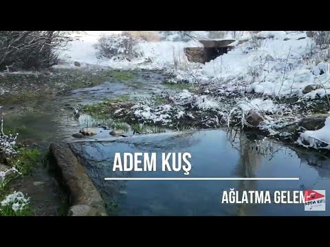 ADEM KUŞ AĞLATMA GELEM (2020 Akustik Türküler)