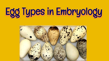 Egg Types in Embryology | Egg Types in Animals | Reproduction | AM Biologie Notes