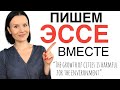 ЕГЭ Английский! Пишем ЭССЕ вместе: аргументы и парафраз.