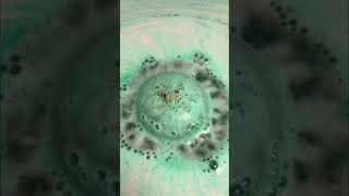 Wakey wakey bath bomb from a small business called Scentish 🍃 #oddlysatisfying #satisfyingvideo