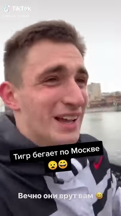 Ай тигр литвин. Ай тигр литвин