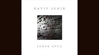 Soner Avcu - Kayıp Şehir Resimi