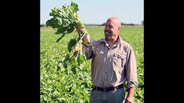 Learn how Laurent puts sustainability into practice