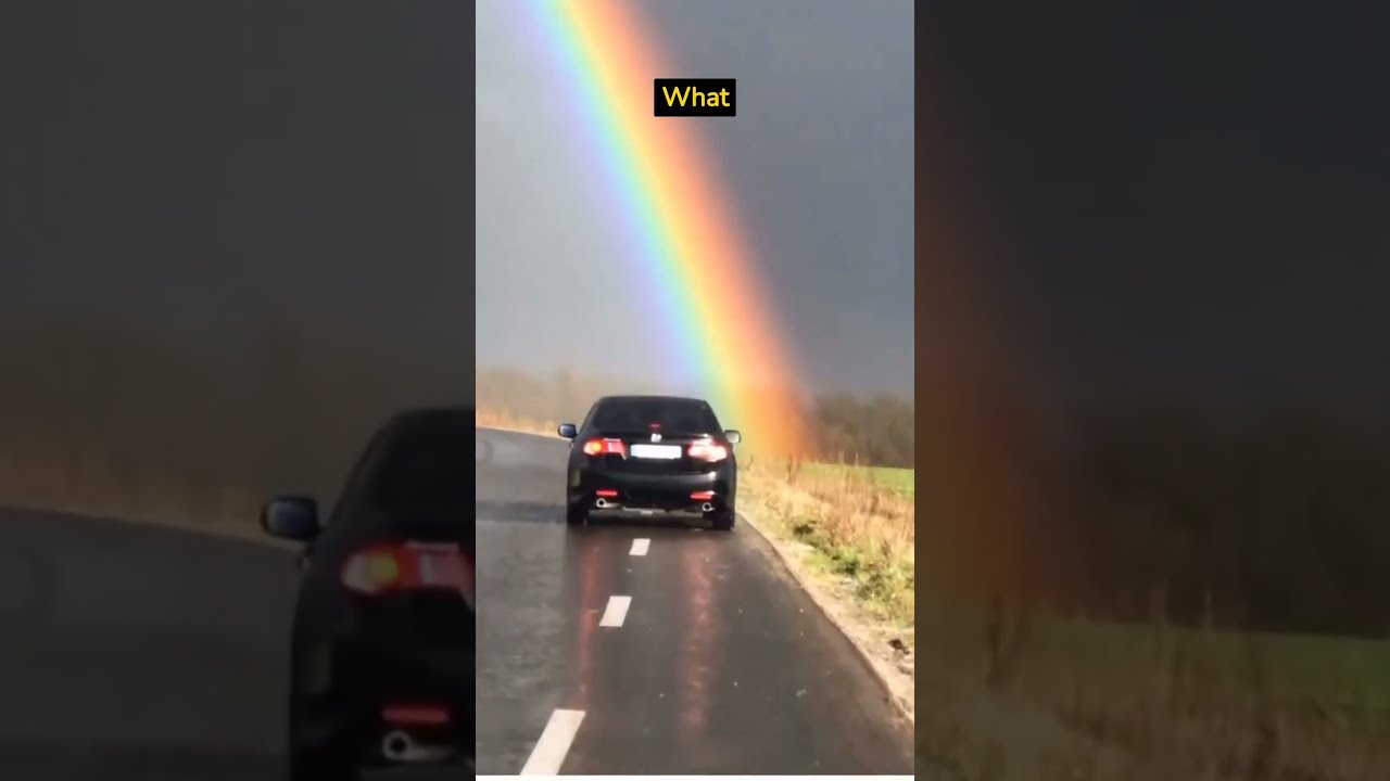 The End Of Rainbow Shorts