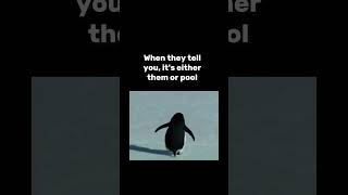 When I tell you, it's either them or pool #9ball #8ball #poolmemes #pool4fun