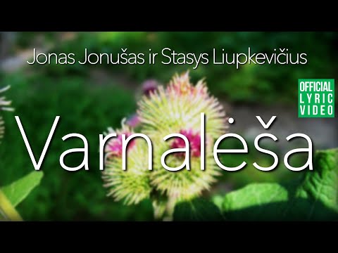 Jonas ir Stasys - Varnalėša (Official Lyric Video). Lietuviškos Dainos Su Žodžiais