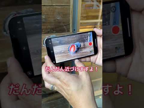 iPhone 13 Proのマクロ撮影を試してみた！ #shorts
