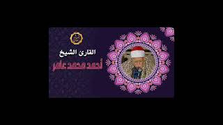 الشيخ احمد محمد عامر سوره الحج قصه الحج