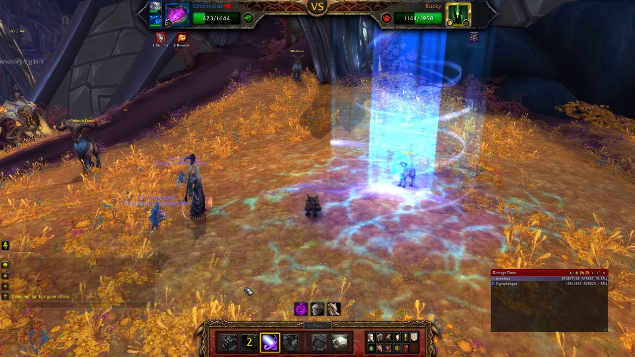 WOW - Pet Battle - Bucky - Full Dragon Team