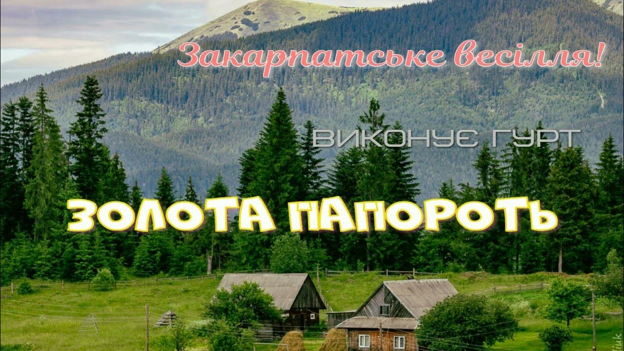 Закарпатський увиванець. Закарпатські коломийки. Закарпатське весілля ...