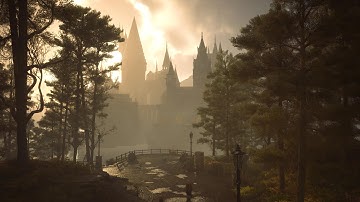 ANCIENT MAGIC HOTSPOT - WEST FORBIDDEN FOREST - HOGWARTS LEGACY