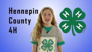 Youth guide to 4-H judging at the Hennepin County Fair