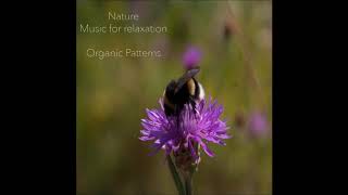 Organic Patterns - Nature - Music for Relaxation [Full Album]