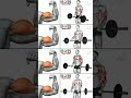 Best Bicep Workout for Bigger Arms | Quick Gym Routine