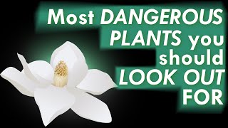 The Most DANGEROUS PLANTS you should LOOK OUT FOR