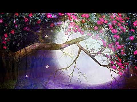 New Instrumental Ali Bira Abitew Kebede And Other Music 