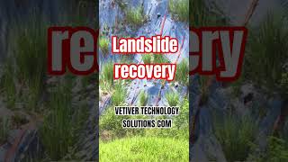 Another Landslide and soil erosion under construction with VETIVER TECHNOLOGY SOLUTIONS COM 10/5/26