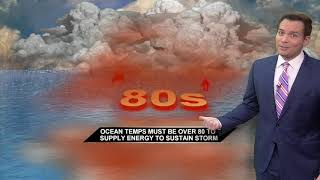 How does a hurricane form?