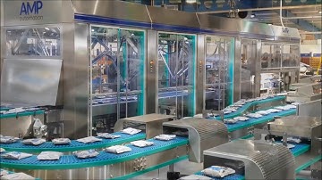 Pick and Place Robot with Multipack Flowrapper