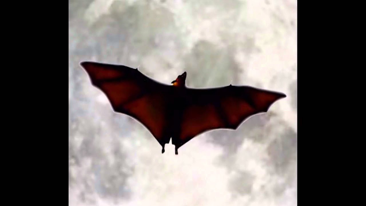 luther imdb Slow Bat Loop #24