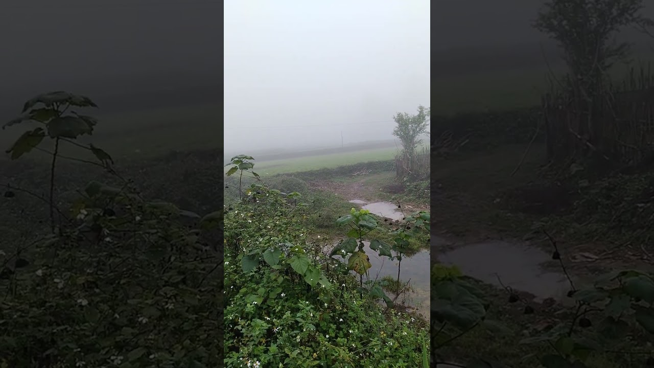 Bản Làng Sương Mù #short | Quá Miền Tây Bắc