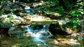 Focus Instantly: Clear Your Mind with These High-Frequency Mountain Stream Sounds