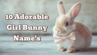 "10 Adorable Girl Rabbit Names You’ll Love! 🐇 | Perfect for Your Cute Bunny!"