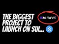 Swarm Network.... The First AI Agent Crypto Launching On SUI