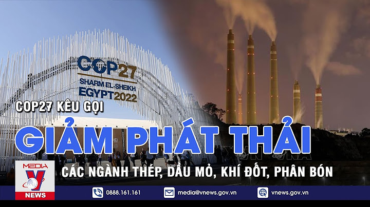 Bao nhiêu năm nữa để giảm phát thải cò năm 2024