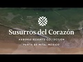 Susurros Del Corazón