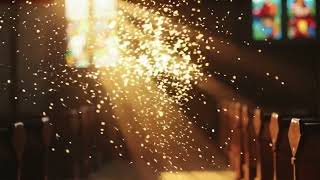 Make Noise Multimod Organ Bliss