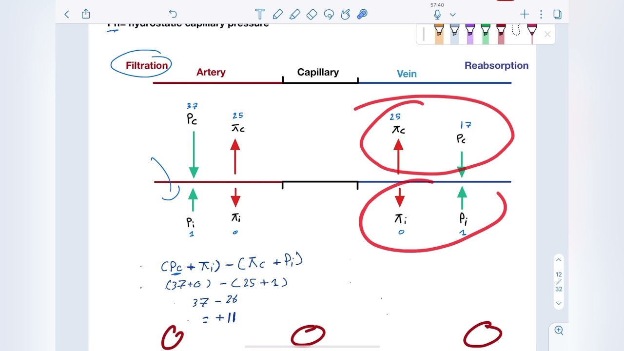 Cardio-block/ Tissue fluid formation and edema