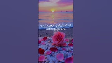 القران الكريم #طمانينة #اكسبلور #اكسبلور_explore #الرحمن #حالات_واتس #المصحف #duet