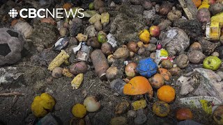 How a pilot program will help commercial food producers reduce waste