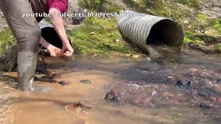 UNCLOGGING CULVERTS IN THE WOODS! 03/2026