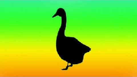 Pixel led design (75) by pathak ji // duck