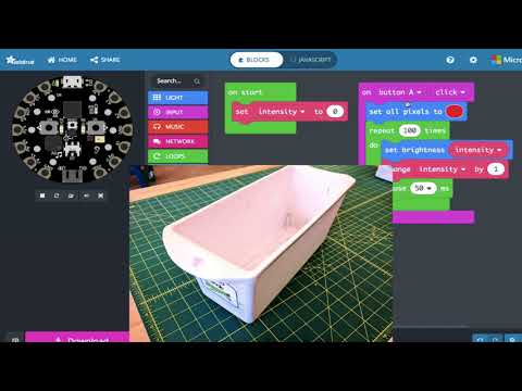 Getting Started with Variables