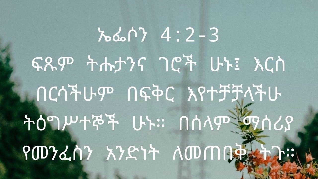 የቤተክርስቲያን የዓባላት ህብረት | Fellowship of Christians