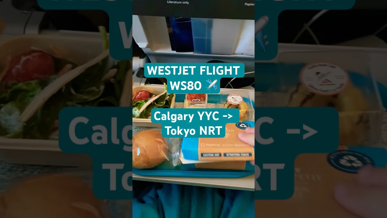 ✈️ Полёт на WestJet WS80! Из Калгари прямо в Токио ⛩️ 