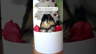 My Mood From October 31St- November 1St Change Quick