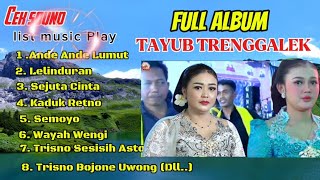 Cek sound tayub 2025 asli TayubTrenggalek✓Nonstop 1 Jam