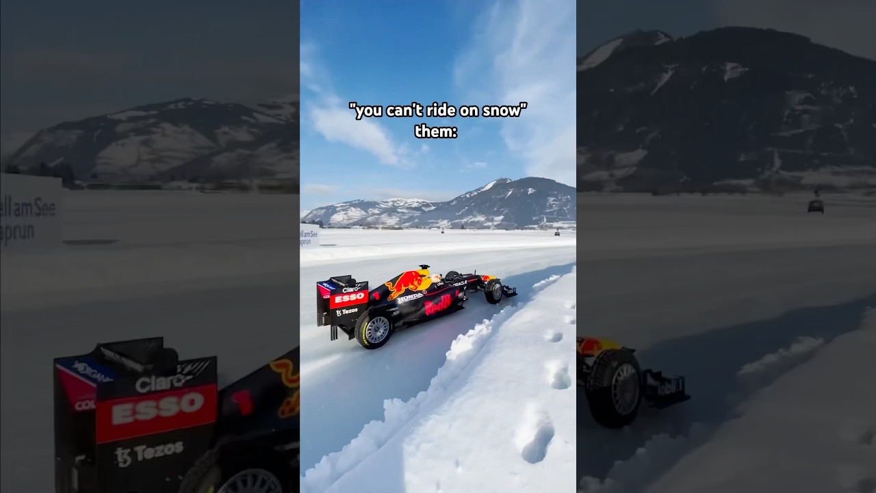 Snow Won’t Stop Them 🥶