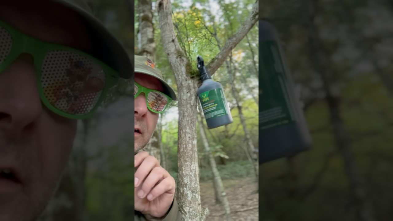 CINGLASPRAY de chez VITEX chasse tu connais ?