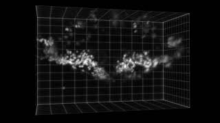 1p light sheet based volumetric imaging of zebrafish cerebellar region