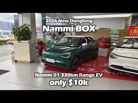 2026 Dongfeng Nammi BOX Nammi 01 Beloved Edition 330km Range Ultra Model EV - Big Bear Test Car