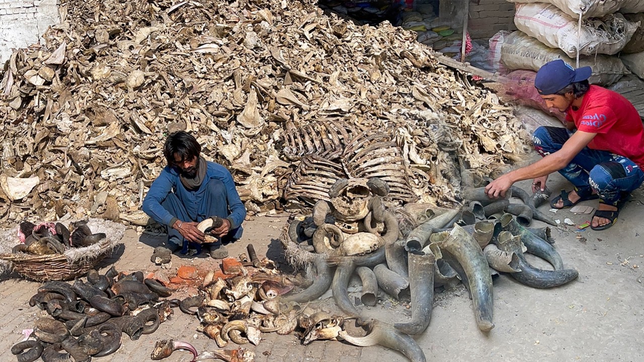 Top 7 Most Viewed Recycling & Manufacturing Videos 2025 | Amazing Mass Production Factory