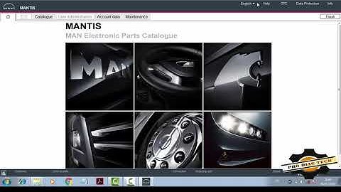 INSTALLATION MANTIS 2019 3 D