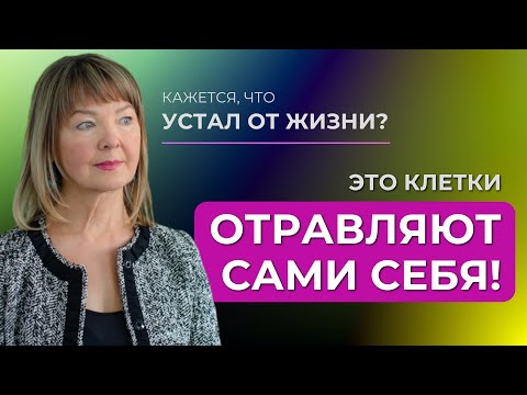 Видео: Почему появляется «хроническая усталость»?