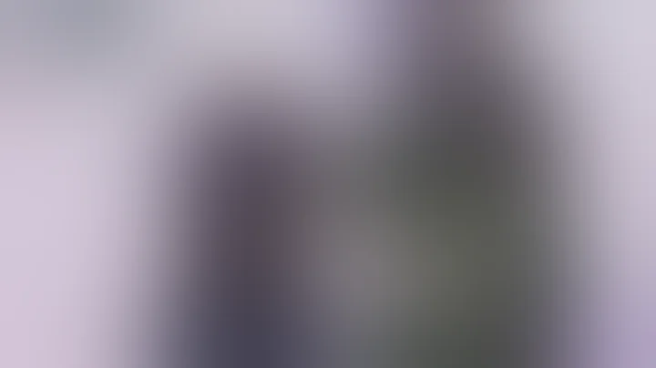 Ryan Reaves vs Kurtis Gabriel Dec 11, 2016