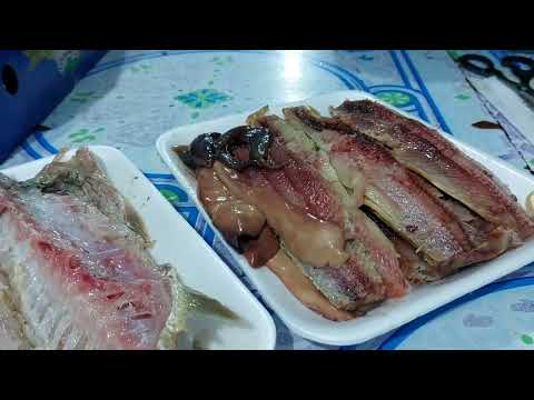 فديو جامد جدا مع فسيخ ام مكه فديو جامد جدا مع فسيخ ام مكه